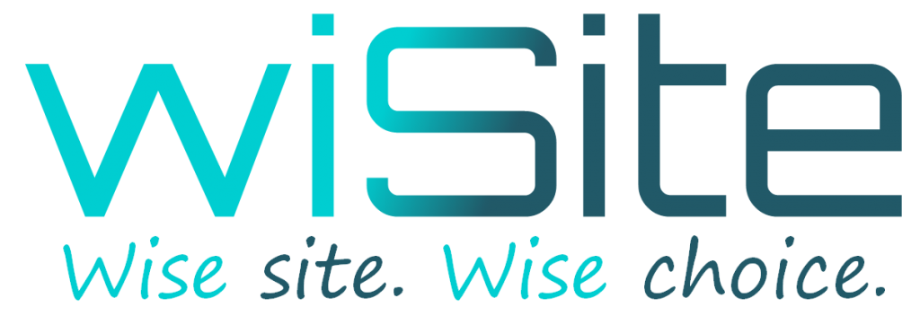 Wisite Logo